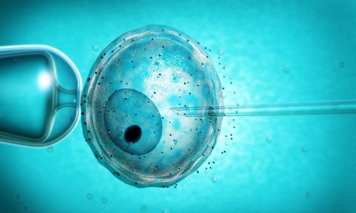 赴美国生子费用预算清单解读