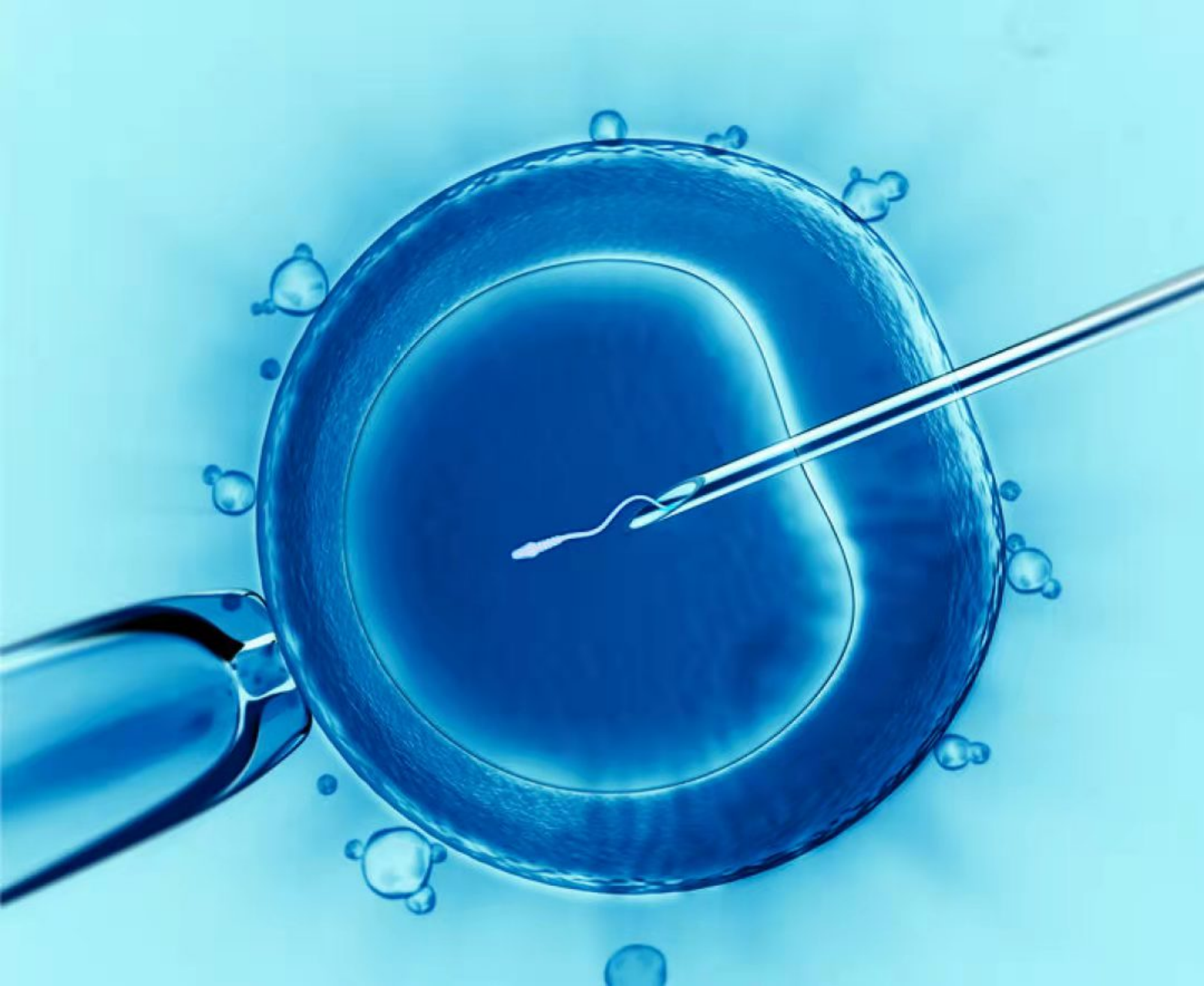 赴美产子利弊分析报告