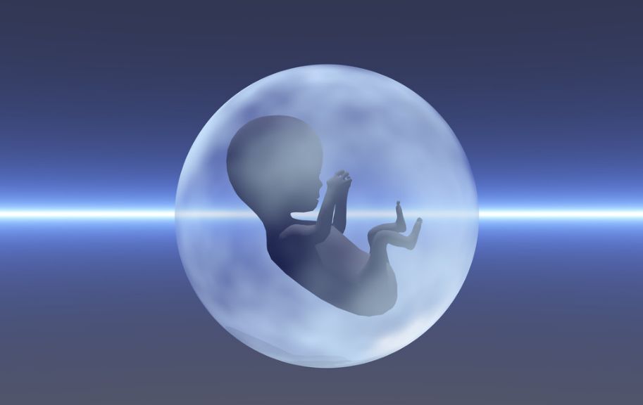 赴美生子费用分析与风险解读