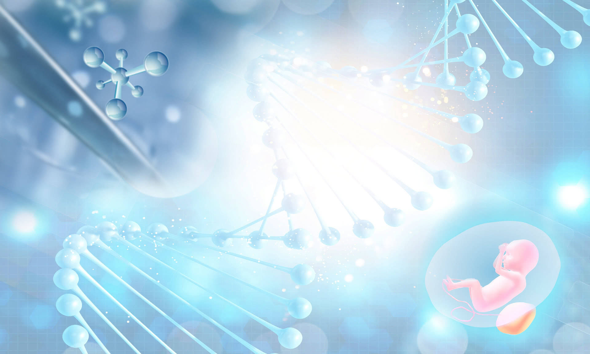 赠卵者筛选流程探讨