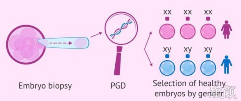 贵州省试管婴儿医疗技术现状与发展趋势