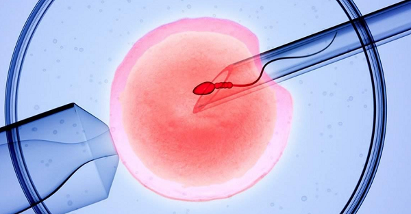 赣州市试管婴儿技术应用现状分析